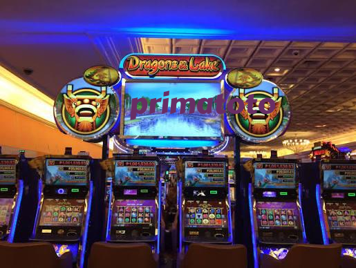 primatoto Live Casino Tables Built for Indonesia