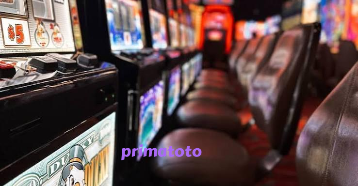 primatoto Live Game Shows at primatoto